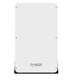 Dyness Battery Review